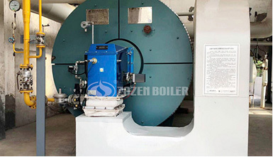 ZOZEN boiler